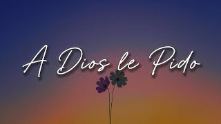 Juanes  A Dios Le Pido Letra [upl. by Nortyad]