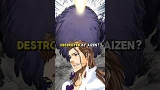 What Happened after Aizen Destroyed the Cleaner bleach bleachanime anime [upl. by Ashlin572]