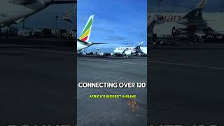 Top 5 Biggest Airlines in Africa shorts shortsfeed AviationAfrica Airlines [upl. by Mario]