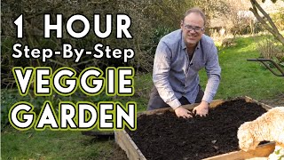 New Vegetable Garden How To Get Started [upl. by Llibyc]