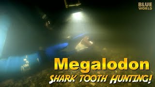 Megalodon Shark Tooth Diving Dark and scary [upl. by Lamhaj]