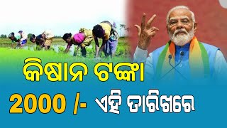 PM Kisan 19th Installment in Odisha  Kisan Yojana New Apply 2025 [upl. by Alduino6]