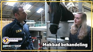 Mokbad behandeling  Op bezoek bij Dierenkliniek Wolvega  1  HorseFitShop [upl. by Lehman745]