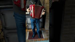 Frontalini Button Accordion [upl. by Nim336]