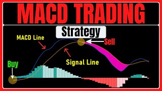 BEST MACD Trading Strategy 86 Win Rate [upl. by Saw]