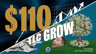 TLC Coin Return 7730 In One Month  Reality of Tlc Coin  India NO1 Crypto Currency Project [upl. by Aninaig]