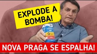 BOMBA BOLSONARISMO ESTÃ ESPALHANDO MAIS UMA PRAGA E INFECTANDO O quotGADOquot [upl. by Ahtabbat]