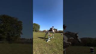 Jumping a meter with Dixie jumping equestrian horsemanship highjump horseriding showjumping [upl. by Phalan]