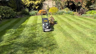 Mowing a small lawn with a Hayter 48 pro [upl. by Lody]