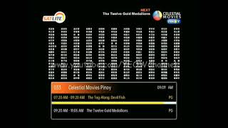 SatLite Plan 299 Channel List 2022 [upl. by Lura812]