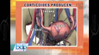 PROCREAR ¿La artritis afecta la fertilidad [upl. by Oap]