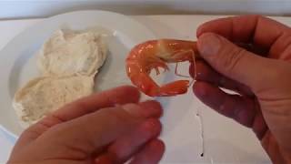 How to Peel Shrimps or Prawns  Simple and Easy Method  Step by Step Tutorial [upl. by Nylle]