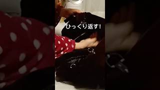 【コートリサイクル】重いメタルなコートを冬物クッションカバーに変身！My heavy metal coat transformed a winter cushion cover shorts [upl. by Forrest]