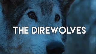 Game of Thrones  ALL STARK DIREWOLF SCENES [upl. by Shreve162]