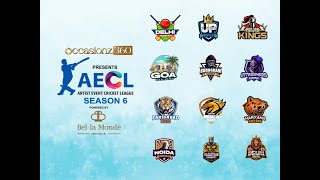 Artist Event Cricket League 2024  Season 6  Day 2  Live [upl. by Ccasi274]