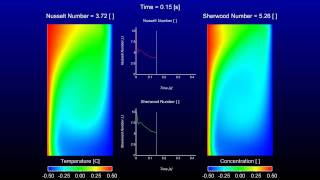 Parallel Stabilized Finite Element Simulation of Double Diffusion [upl. by Atilemrac]