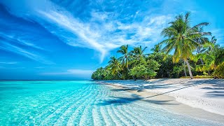 Beautiful Relaxing Music  Stop Overthinking Mind Calm Serene Seascapes for Ultimate Relaxation [upl. by Lavena468]