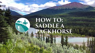 How to saddle a packhorse The saddle amp the horse [upl. by Alana]