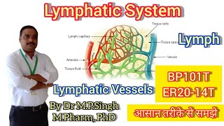 Lymphatic System  Lymph amp Lymphatic Vessels  Human Anatomy amp PhysiologyI  BP101T amp ER2014T [upl. by Halas]