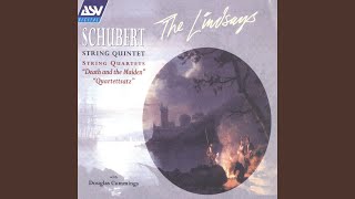 Schubert String Quartet No 14 in D minor D810 quotDeath and the Maidenquot  2 Andante con moto [upl. by Robyn]