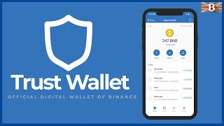 Trust Wallet Tutorial Binance Official MultiCrypto Wallet [upl. by Sikorski148]