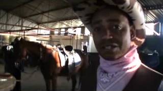 Tim Thabethe Rides a horse to save Petrol [upl. by Lesoj]