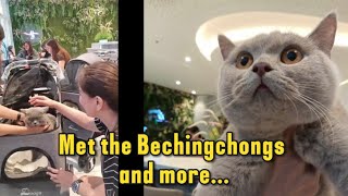 Met the Bechingchongs amp more [upl. by Hullda]