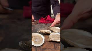 HOW TO MAKE Baked Oysters [upl. by Hosbein171]