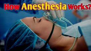 How does anesthesia bring about a temporary loss of consciousness  How Anesthesia Works [upl. by Aiekan552]