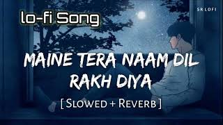 MAINE TERA NAAM DIL RAKH DIYA  LOFI SONG [upl. by Kcirdek]