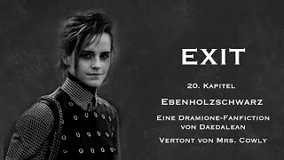 Ebenholzschwarz  2139  EXIT  Daedaleans Dramione Fanfiction  WarAU [upl. by Inek]