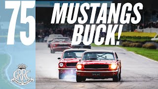 Mighty Mustang on Mustang track battle [upl. by Miuqaoj]