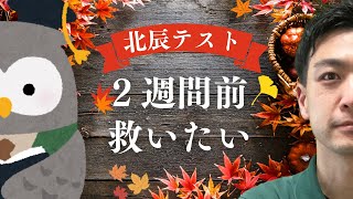 【R7埼玉県高校入試】11月北辰テスト2週間前の生徒を救いたい [upl. by Bremble]