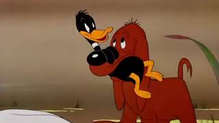 LOONEY TUNES Looney Toons DAFFY DUCK  To Duck or not To Duck 1943 [upl. by Williams]