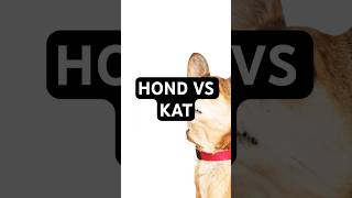 Honden 🐕 vs Katten 🐈 [upl. by Baiel190]