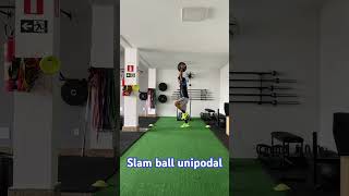 Slam ball unipodal [upl. by Buddie441]