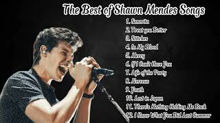 The Best of Shawn Mendes Songs [upl. by Carn296]