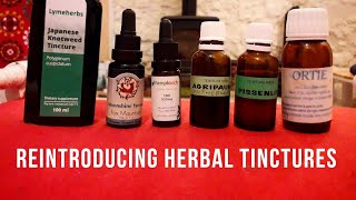 Herxheimer Healing Crisis Reintroducing Herbal Tinctures for the treatment of Lyme [upl. by Arnelle90]