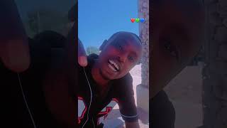 Sirba haraya afan oromo 2024 [upl. by Ettellocin]