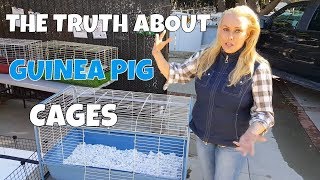 How Much Cage Space do Guinea Pigs Really Need [upl. by Modeste]