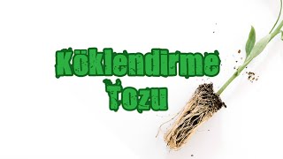 Bitki Köklendirme Tozu Nasıl Yapılır [upl. by Ive]