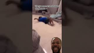 funny comedy memes prank reaction laugh video reels trending shorts viralvideo trending [upl. by Killion]