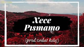 quot XECE  PİSMAMO quot  quot Kurdish TRap Remix quotVedat Kılıç Prod [upl. by Magnuson915]