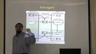 Biochemistry  Placental hormones  part 2 [upl. by Dorry]