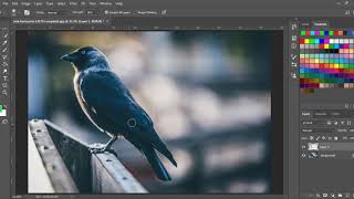 SMUDGE TOOL  Adobe Photoshop Tutorial [upl. by Malha767]