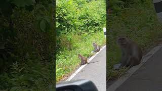 Koh Lanta On the Main Road Thailand [upl. by Anayaran]