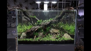 Nature Aquarium Aquascape Tutorial  The ADA Way By Aquarium Gardens [upl. by Mame]