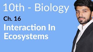 10th Class Biology Chapter 16  Interactions in Ecosystem  Class 10 Biology Chapter 16 [upl. by Calvin391]