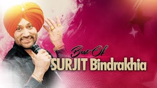 BEST OF SURJIT BINDRAKHIA  PUNJABI SONGS JUKEBOX  TSERIES APNA PUNJAB [upl. by Atinek]