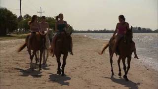 Anna Maria Island Get Into Horse Surfing Video Production © Dreamtime Entertainment Florida [upl. by Cheke]